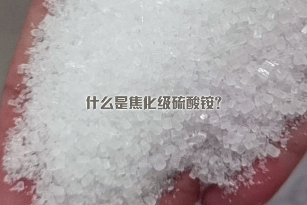 什么是焦化級硫酸銨？