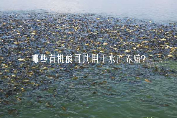 哪些有機(jī)酸可以用于水產(chǎn)養(yǎng)殖？