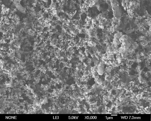 電子顯微鏡下污染物圖像