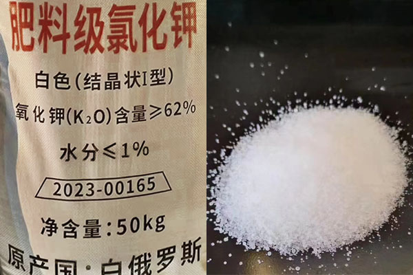 肥料級氯化鉀如何施用？